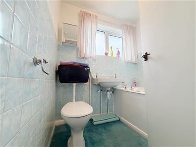 Picture 15